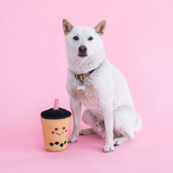 Bubble Tea chien