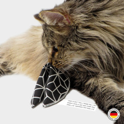 Biscuit porte bonheur à la cataire