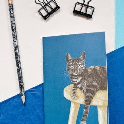 Petit carnet bleu chat