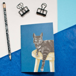 Petit carnet bleu chat