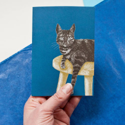 Petit carnet bleu chat