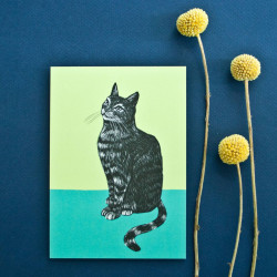 Carte postale chat assis