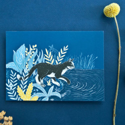 Carte postale chat lac