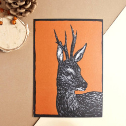 Carte postale chevreuil