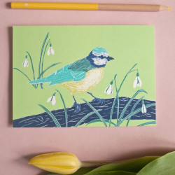 Carte postale mésange