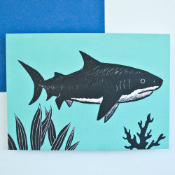 Carte postale requin