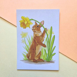 Carte postale lapin narcisse
