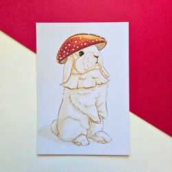 Carte postale lapin champignon