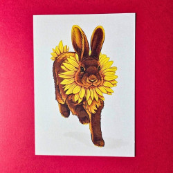 Carte postale lapin tournesol