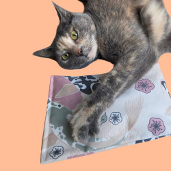 Oreiller bruissant Japon à la cataire