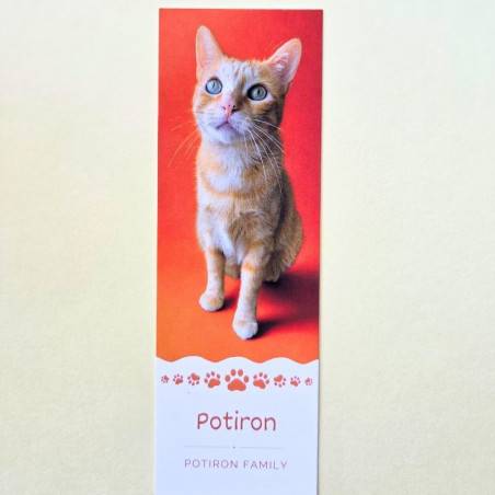Marque page Potiron