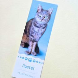 Marque page Pastel
