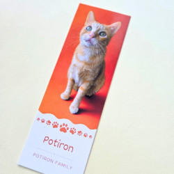 Lot de 6 Marque-pages Potiron Family