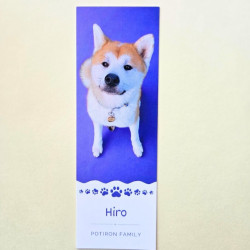 Lot de 6 Marque-pages Potiron Family