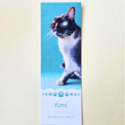 Lot de 6 Marque-pages Potiron Family