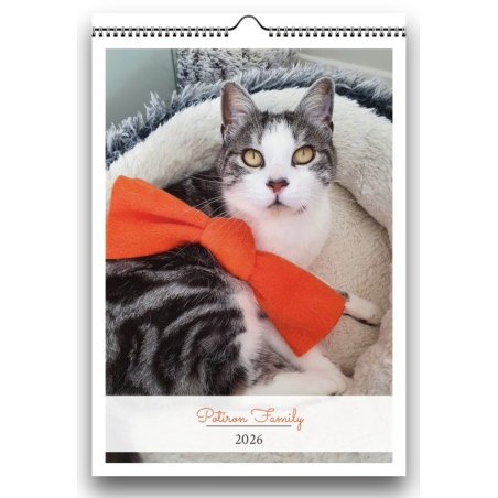 Calendrier Potiron Family 2026