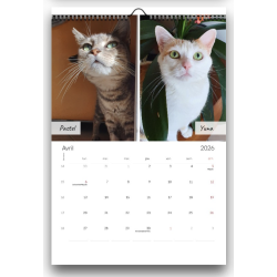 Calendrier Potiron Family 2026