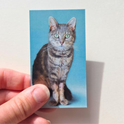 Lot de 6 Magnets Potiron Family