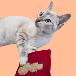 Coussin Noël à la Cataire