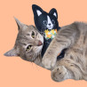 Lucy, jouet pour chat à la valériane | Yumici