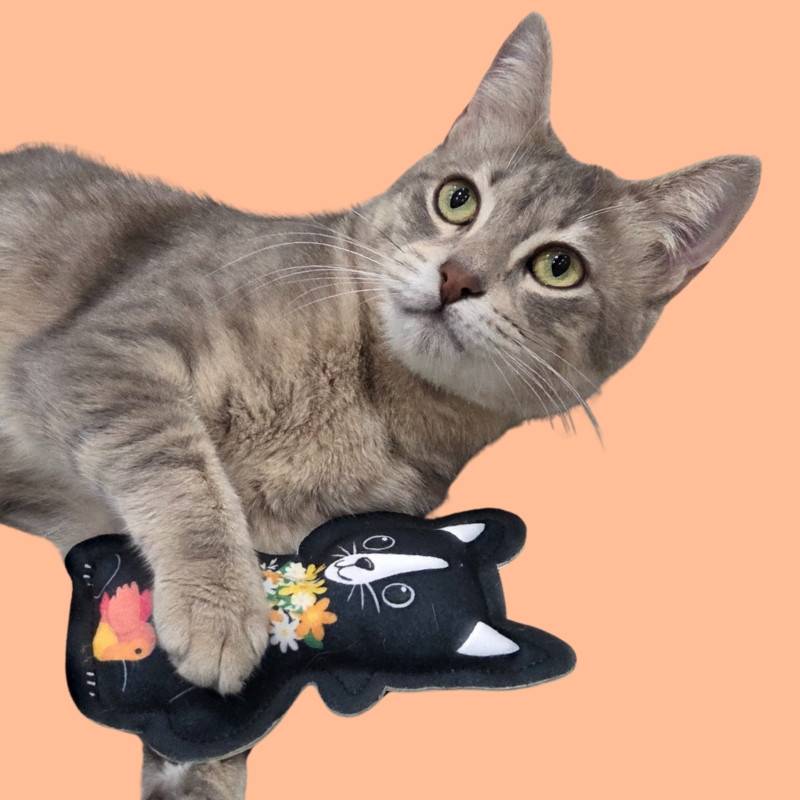 Peluche Lucy à la cataire