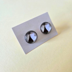 Puces d'oreilles - Chat noir et blanc