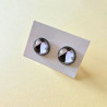 Puces d'oreilles - Chat noir et blanc
