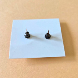 Puces d'oreilles - Chat noir