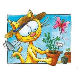 Le Chat Peau d'paille