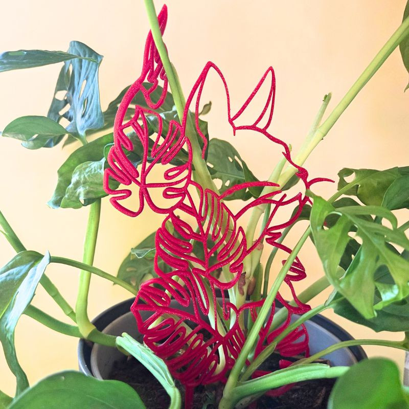Treillis plante chat - Rouge
