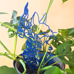 Treillis plante chat - Bleu