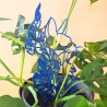 Treillis plante chat - Bleu