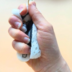 Eponge compacte chat bleu