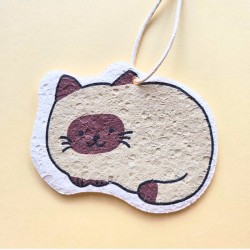 Eponge compacte chat siamois