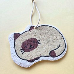 Eponge compacte chat siamois