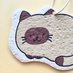 Eponge compacte chat siamois