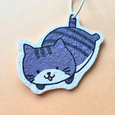 Eponge compacte chat gris