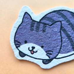 Eponge compacte chat gris