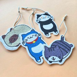 Lot de 4 éponges compactes chats