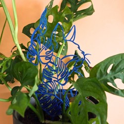 Treillis plante chat - Bleu