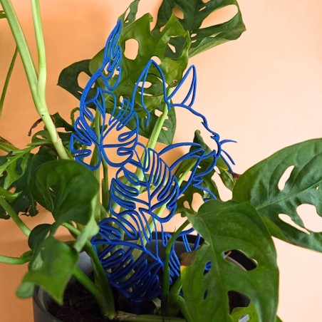 Treillis plante chat - Bleu