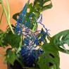 Treillis plante chat - Bleu