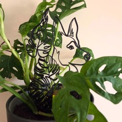 Treillis plante chien - Noir