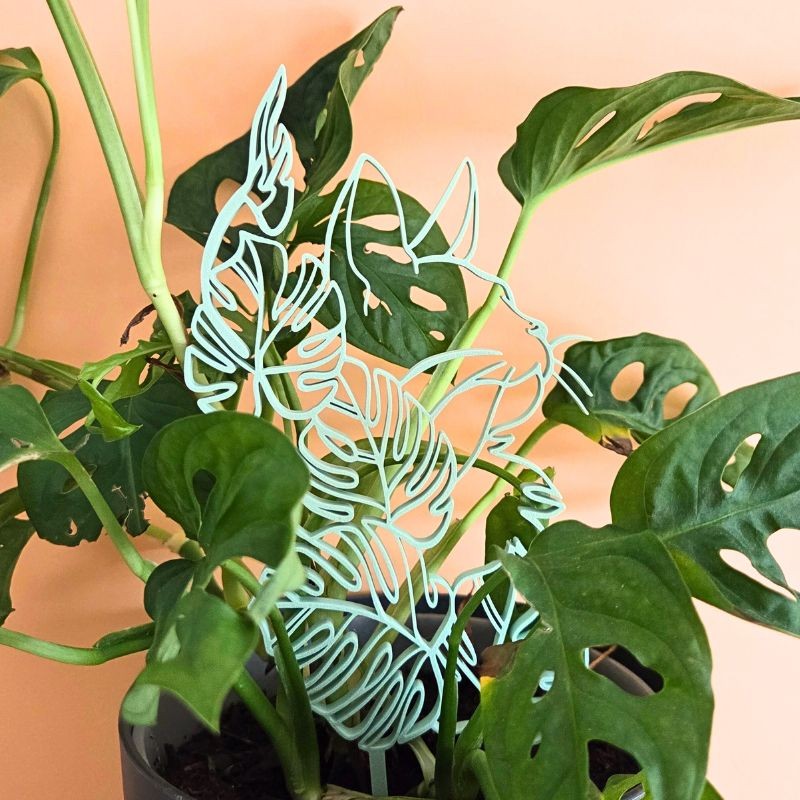 Treillis plante chat - Vert pastel