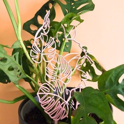 Treillis plante chat - rose