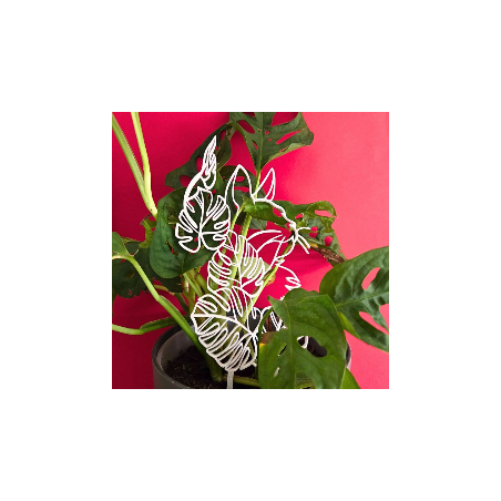 Treillis plante chat - blanc