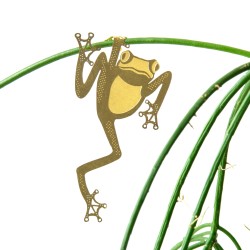 Décoration plante - grenouille