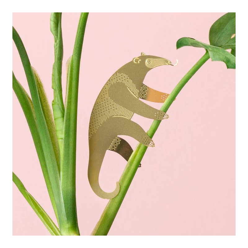 Décoration plante - fourmillier