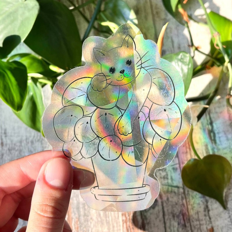 Sticker attrape soleil chat pilea
