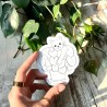 Sticker attrape soleil chat pilea